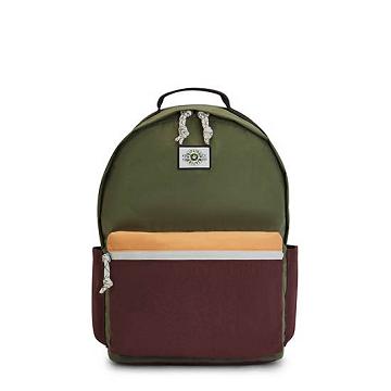 Torby Na Laptopa Kipling Damien Large Backpack Oliwkowe | PL 1581EB